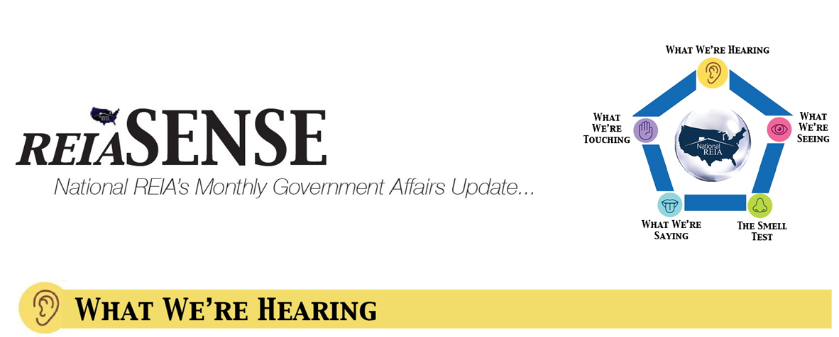 REIASense - National REIA Update on Government Affairs