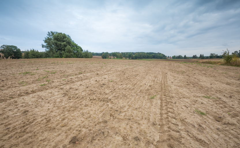 Availability of Lots for New Homes Drops Year-Over-Year