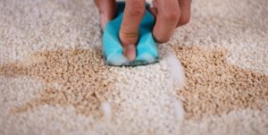 Decoding Rental Property Wear: A Guide to Normal Wear and Tear