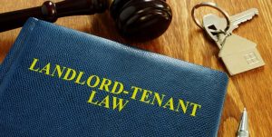 "Key Responsibilities of Landlords When Renting to Tenants"